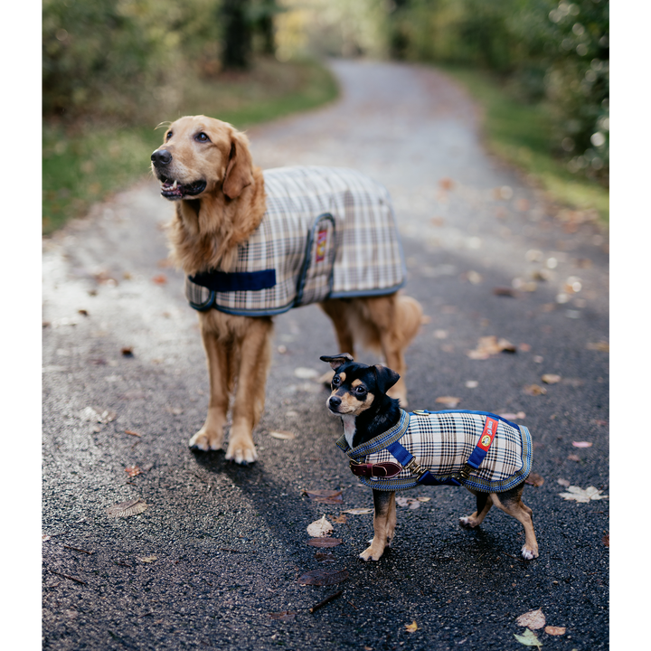 5/A Baker® Classic Dog Blanket