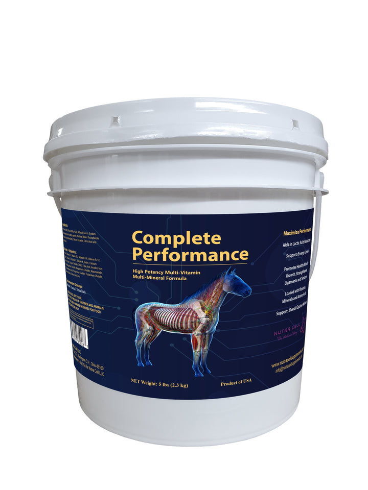 Complete Performance Powder