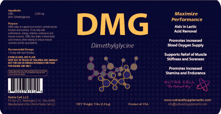 DMG