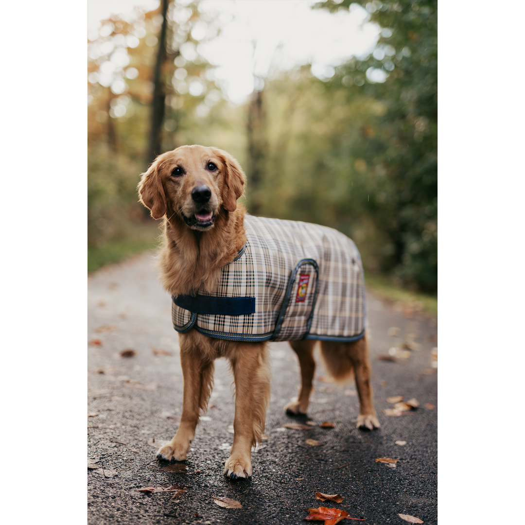 5/A Baker® Classic Dog Blanket