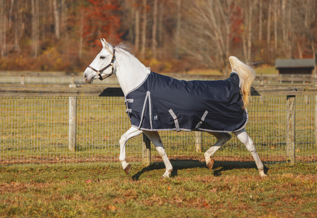 Atlas Turnout Blanket 600 Denier with 300gm Lining