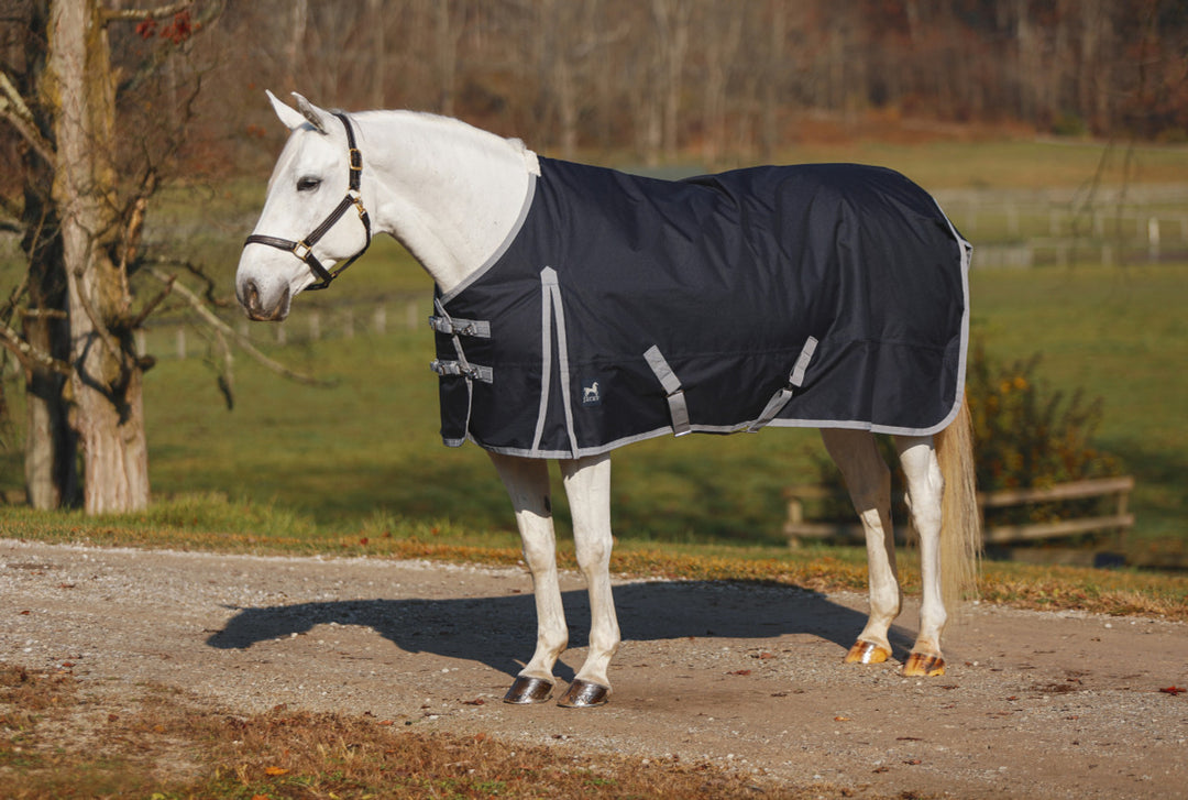 Atlas Turnout Blanket 600 Denier with 300gm Lining