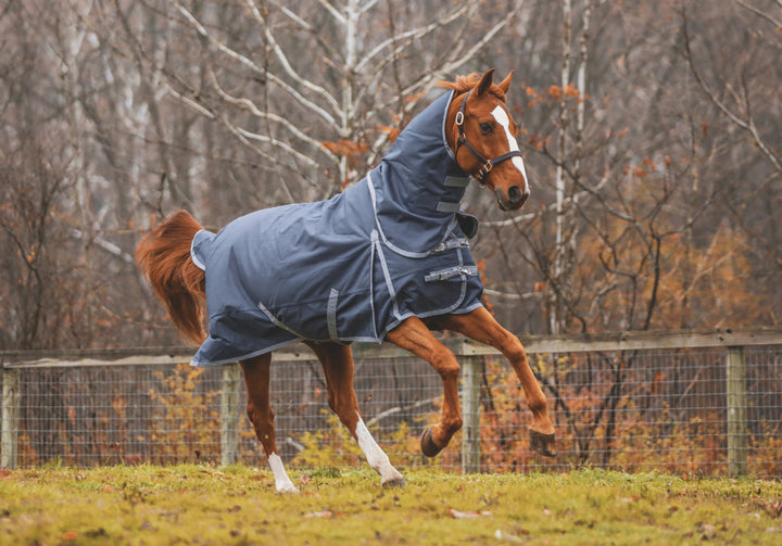 Boreas Ink Blue Turnout Blanket 1200 Denier with 260gm Lining