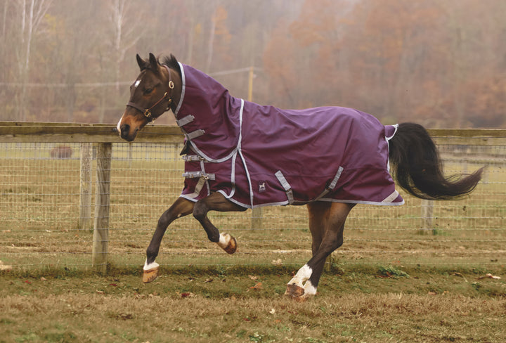 Boreas Purple Turnout Sheet 1200 Denier & Reflective Stripes