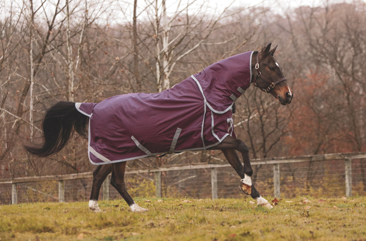 Boreas Purple Turnout Sheet 1200 Denier & Reflective Stripes