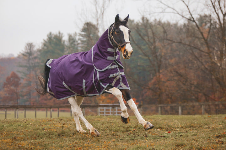 Boreas Purple Turnout Blanket 1200 Denier with 260gm Lining & Reflective Stripes