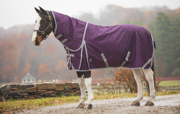 Boreas Purple Turnout Blanket 1200 Denier with 260gm Lining & Reflective Stripes