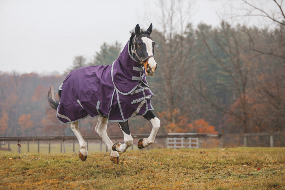 Boreas Purple Turnout Blanket 1200 Denier with 350gm Lining & Reflective Stripes