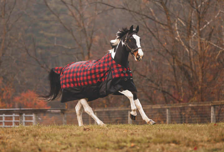 Kratos Turnout Blanket 1200 Denier with 260gm Lining