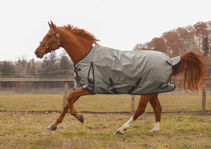 Zeus Turnout Blanket 1680 Denier with 260gm Lining