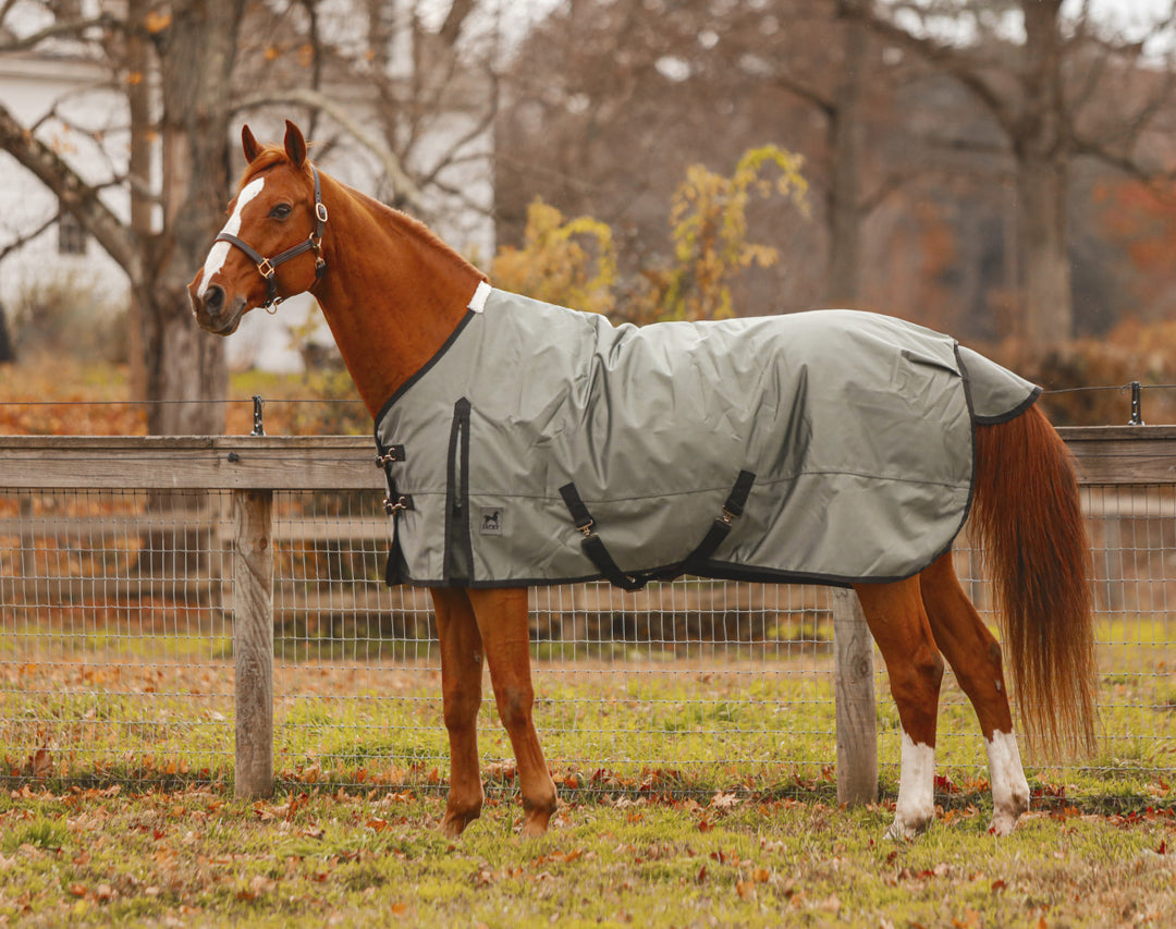 Zeus Turnout Blanket 1680 Denier with 260gm Lining