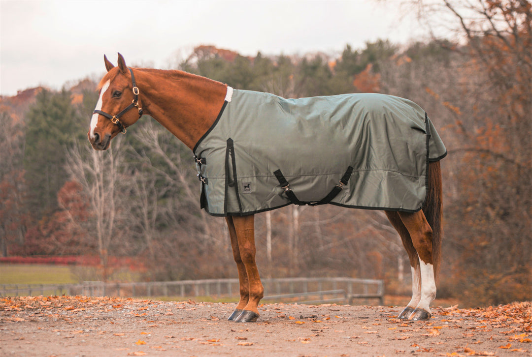 Zeus Turnout Blanket 1680 Denier with 400gm Lining