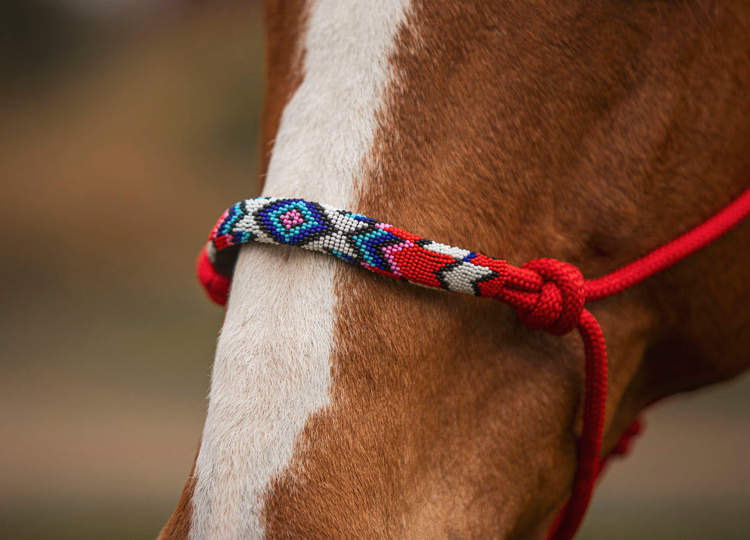 Beaded Rope Halter & Lead